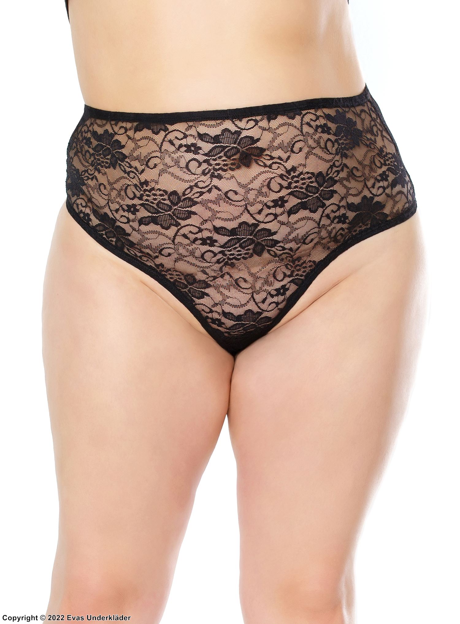 Classic thong, stretch lace, high waist, flowers, plus size